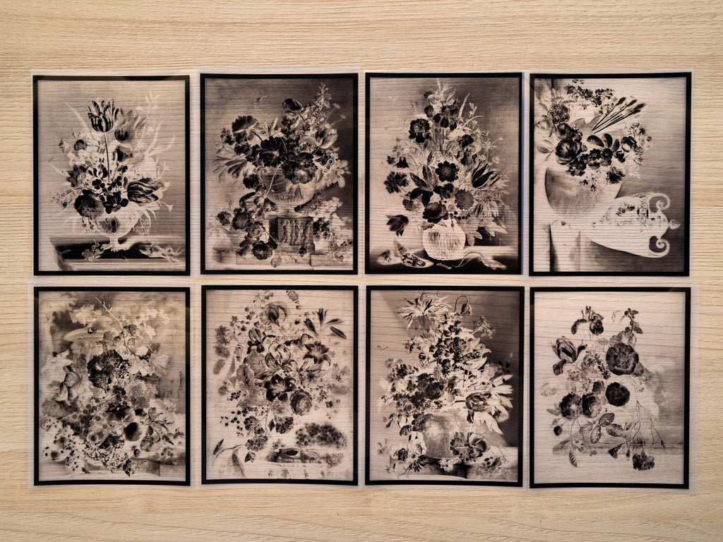 still life cyanotype stencils for solar printing