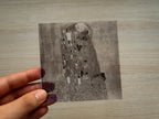 the kiss gustav klimt cyanoptype stencil