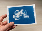 tools for handicrafts with cyanotype