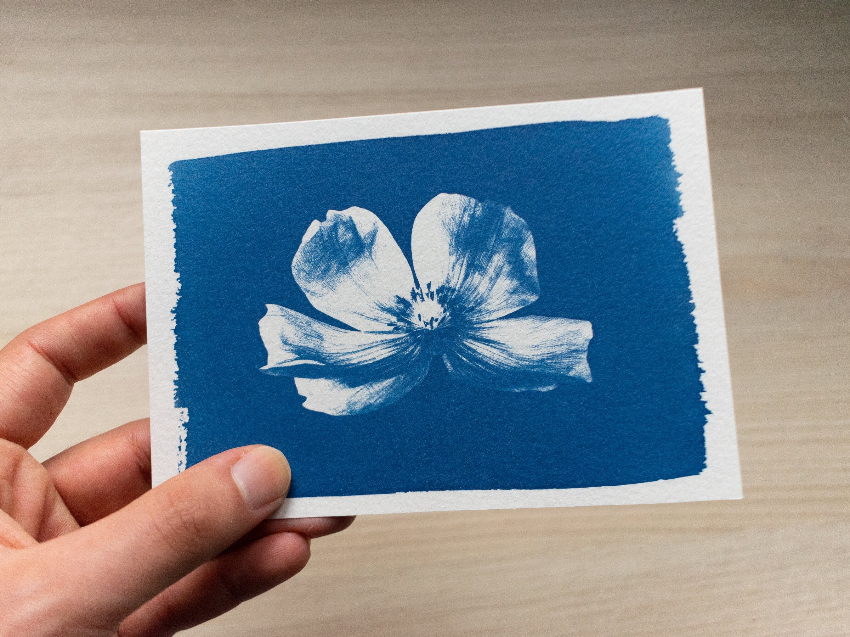 tools for handicrafts with cyanotype