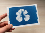 tools for making handicrafts with cyanotypes