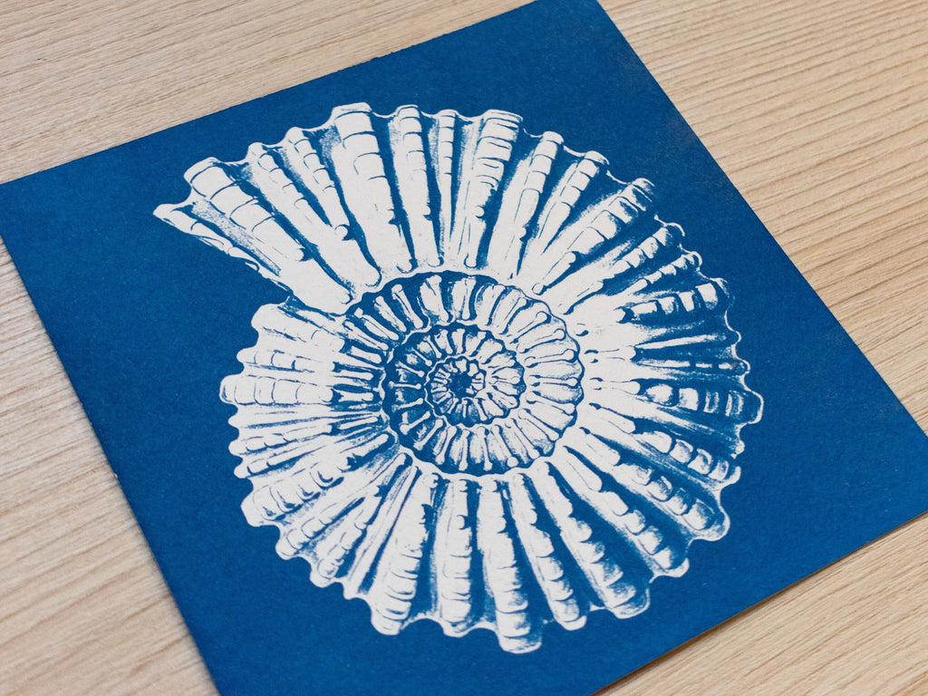 vintage nautilus art made with cyanotype