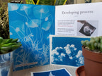 where to buy cyanotype paper
